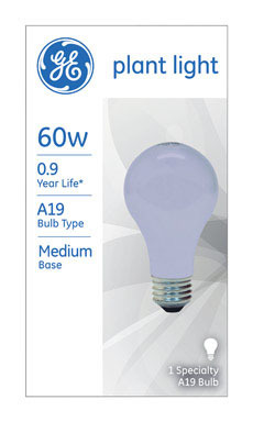 Bulb-plant 60a/pl Ge