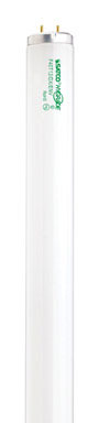 4' T12 40W FLUOR DAYLIGHT BULB