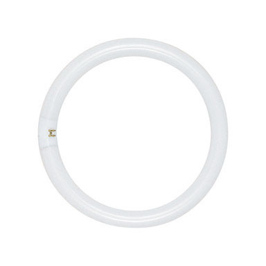 BULB FLUOR CIRCLE 8" 22W