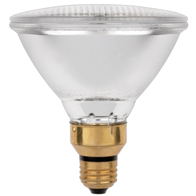 HALOGEN BULB PAR38 60W