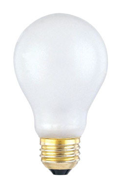 A19 Specialty Bulb CW 100W