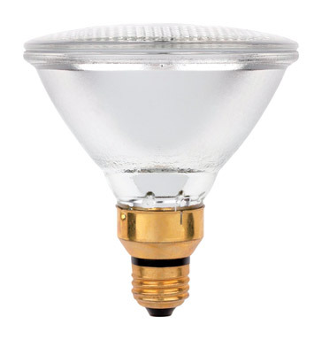 Bulb Halgn Par38 60w Ww