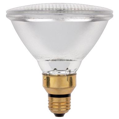 BULB HLGN PAR38 WW 90W