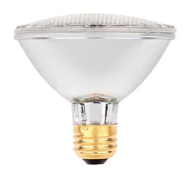 Bulb Hlgn Par30 38w Ww