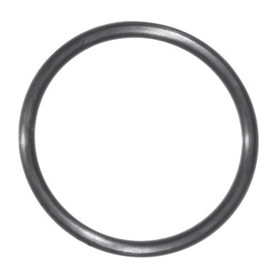7/8x1-5/8x1/8" Danco O-Ring