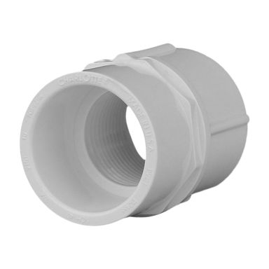 Charlotte Pipe Schedule 40 3/4 in. Slip  T X 3/4 in. D FPT  PVC Pipe Adapter