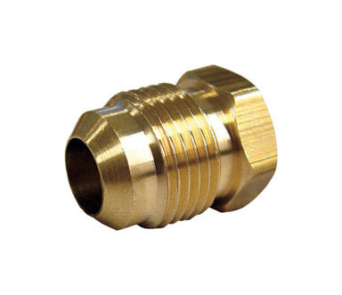 FLARE PLUG 1/4" LF