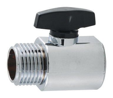 Chrome Shower Flow Control
