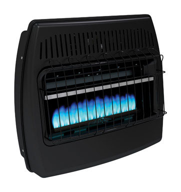DYNA WLL HTR 30K BTU