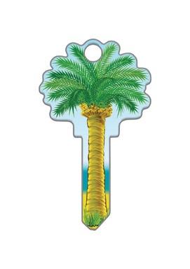 HOUSE KEY PALM TREE SCH