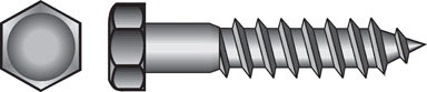 25PK 3/8x3-1/2 SS Lag Screw