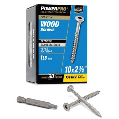 LB 10x2.5 SS Wood Screws
