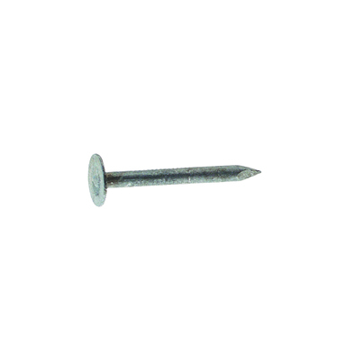 NAIL ROOF EG STL 1" 1#