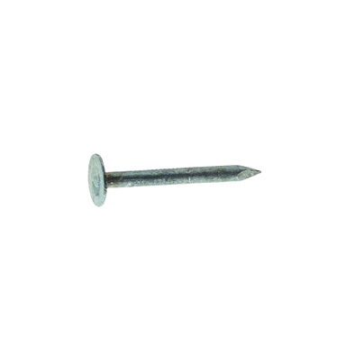 NAIL ROOF EG STL 7/8" 1#