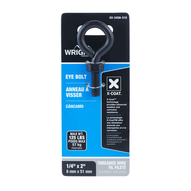 EYEBOLT STL BLK 2X1/4"