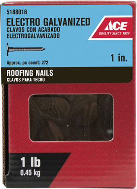 ACE ROOF NAIL 1" EG 1#