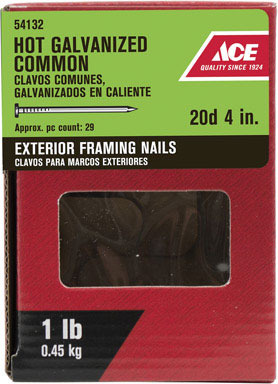 ACE COMMON NAIL20DF 4"1#