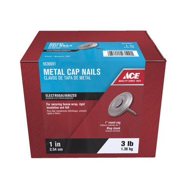 NAIL ROOF STL FLT 1" 3LB