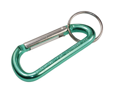 KEY LARGE CARABINER W/RING