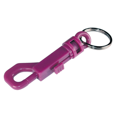 Plastic Snap Hooks Keychain