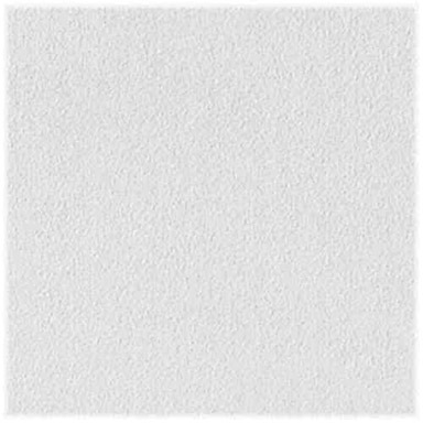 CEIL PNL SHEETROCK 2'X2'