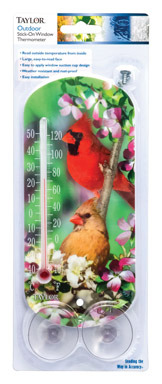 Taylor Bird Design Tube Thermometer Plastic
