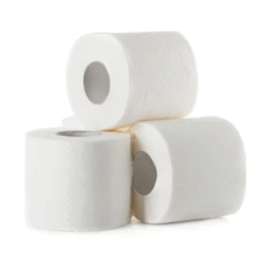 TOILET PAPER 2PLY 12ROLL