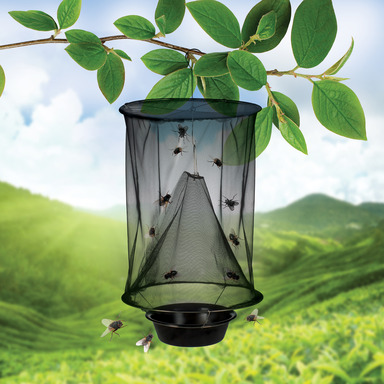 HANGING INSECT TRAP BLK