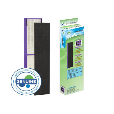 HEPA FLTR RCTNGLR 19.25"