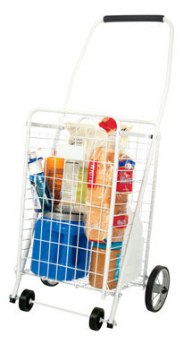 Shopping Cart 100lb