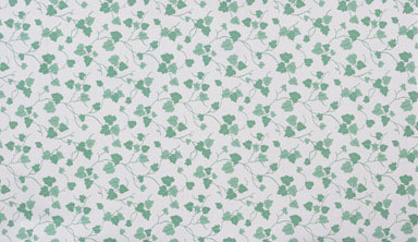 CONTACT PAPER 18INX9FT M IVY