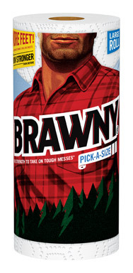 PAPER TWL P-A-S LRG ROLL