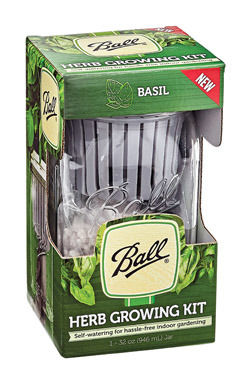 HERB GROW KIT BASIL