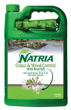 GRASS & WEED CONTRL 1GAL