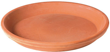 NS SAUCER TERA 5.12"D