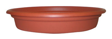 SAUCER 6" DURA COTTA TC