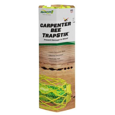 CARPENTER BEE TRAPSTIK