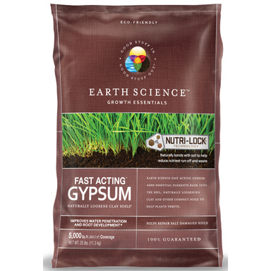 GYPSUM FAST ACT ES 25#