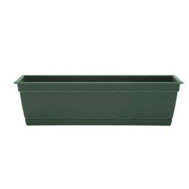 24" Dayton Win Box Turtle-grn