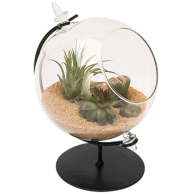 TERRARIUM W/STAND 4.5"D