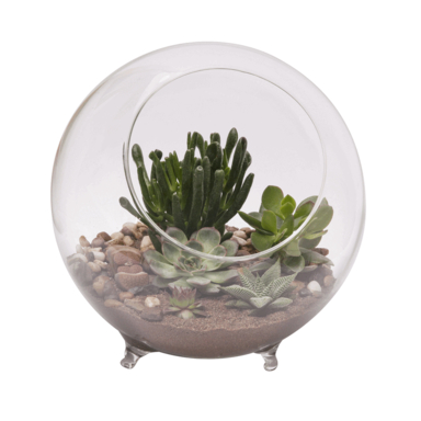 TERRARIUM W/FEET 10.25"D
