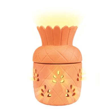 CITRONELLA CANDLE PNEAPL