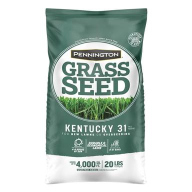 GRASS SEED KY31 TF 20#