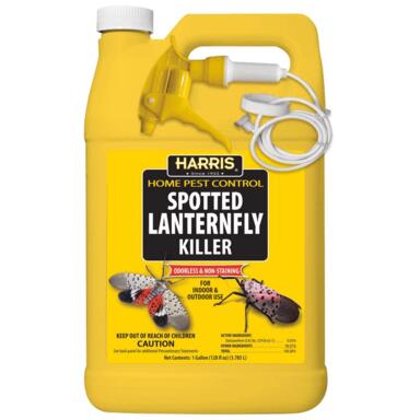 INSECT KILLLER 128OZ