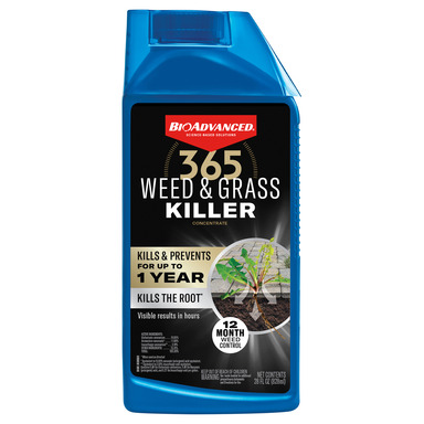 WEED/GRASS KILLER 28OZ