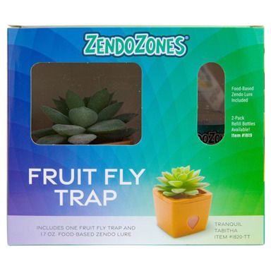 Fruit Fly Trap Succulent