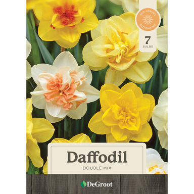 BULB DAFFODIL DBL 7PK