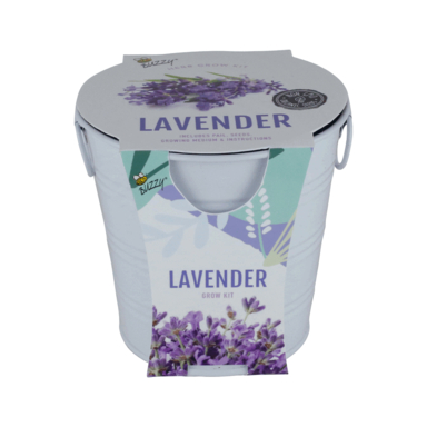 GROW KIT LAVENDER 1PK