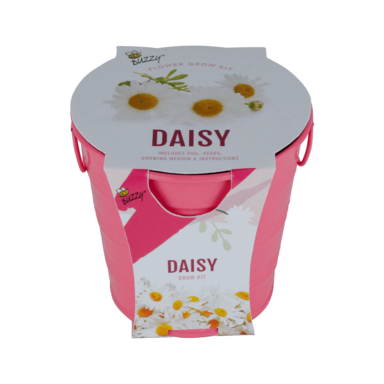 GROW KIT DAISY 1PK