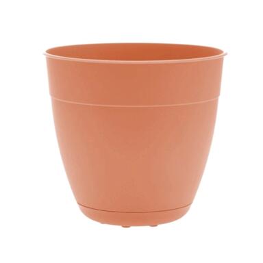 6" Dayton Planter Coral